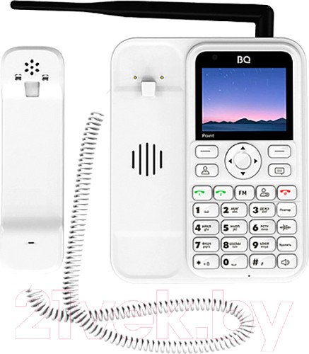Мобильный телефон BQ BQ-2839 (белый)